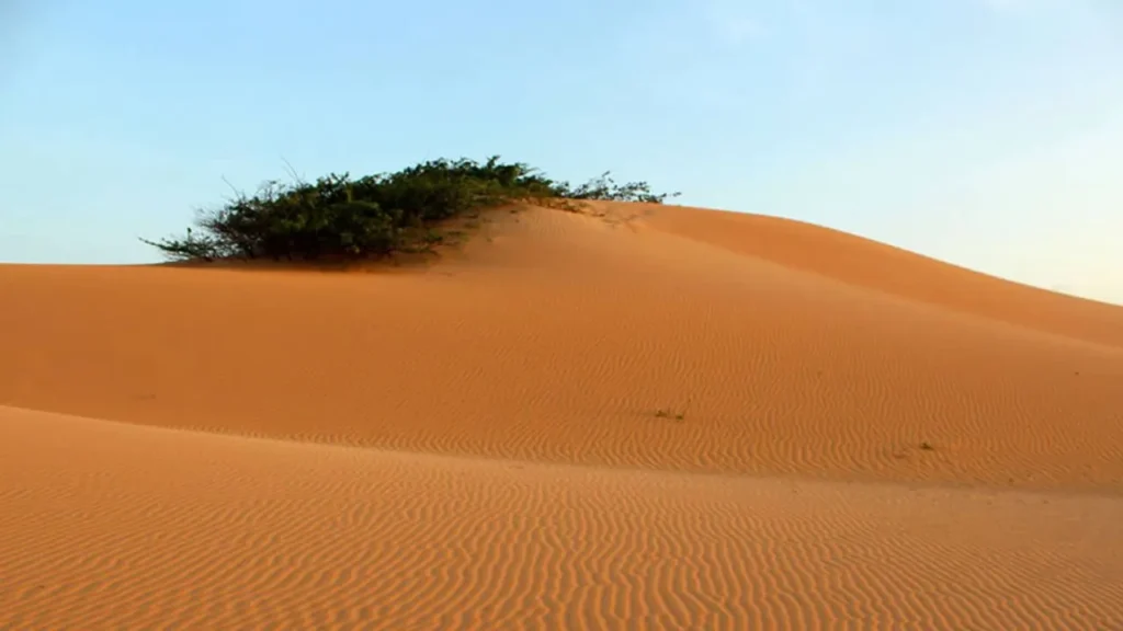 Dunas de Puerto Estrella en Parque Nacional Natural Macuira. 