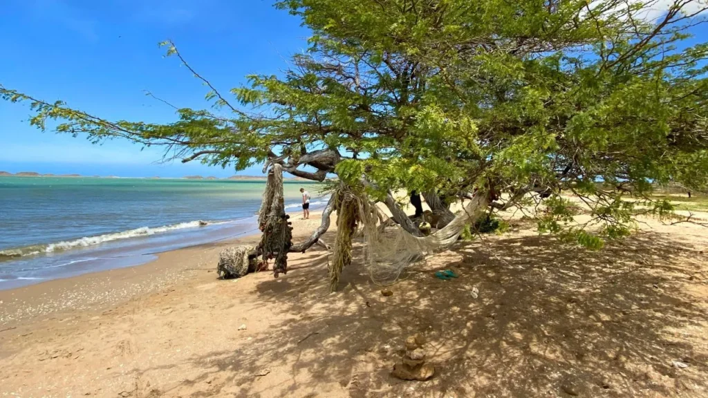 En Bahía Honda puedes descansar y disfrutar la playa para luego comer deliciosa comida local en su restaurante. 