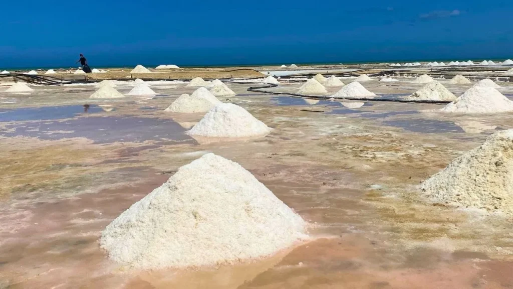 Las Salinas de Manaure es el punto productor de sal más importante de La Guajira y de Colombia.