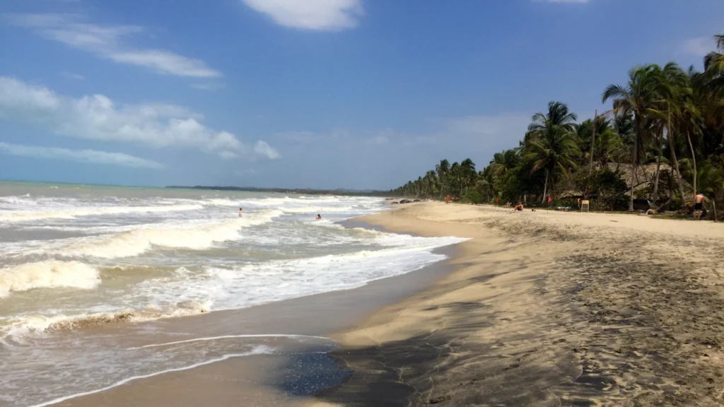 Turistas disfrutando de la playa en Palomino.