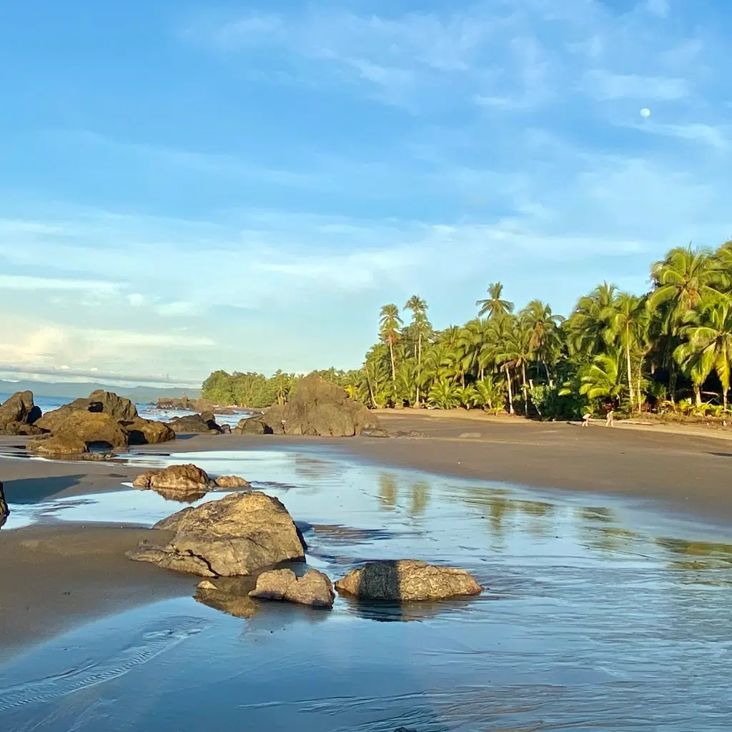 Playaterapia - La Playa de Majo